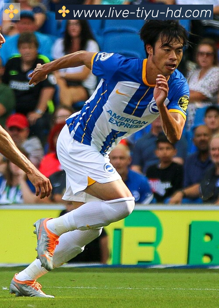 罗德里